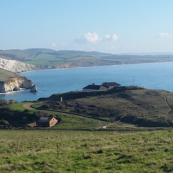 Meet your Posher, Lynette - Picture 3 of 4